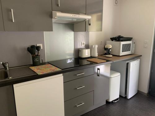 une cuisine avec un comptoir avec un micro-ondes dans l'établissement L'OCEANE, à Royan