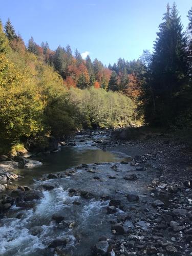 a river with rocks and trees in the background at Ferienwohnung Morgentau am Rande der Wildnis in Sibratsgfäll