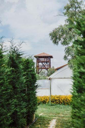 a view of a field of yellow flowers and a building at Blerina's Agritourism Concept in Laknas