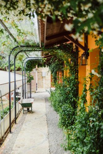 a walkway with a bench in a building with plants at Blerina's Agritourism Concept in Laknas
