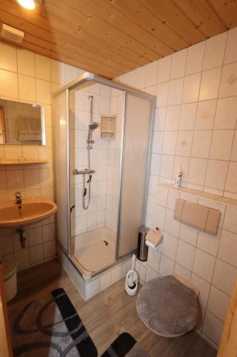 bagno con doccia e lavandino di Haus Andrea a Lichtenberg