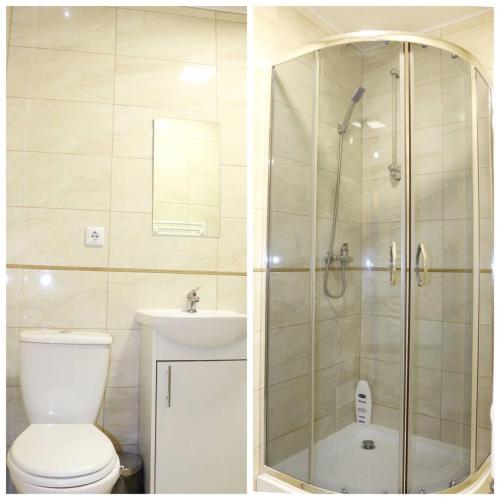 a bathroom with a shower and a toilet and a sink at Садиба У Романа 'двохрівневий номер' in Verkhneye Sinevidnoye