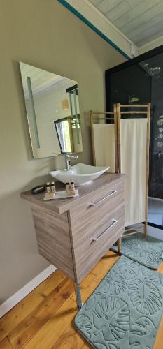 ein Bad mit einem Waschbecken und einem Spiegel in der Unterkunft La Meausserie 