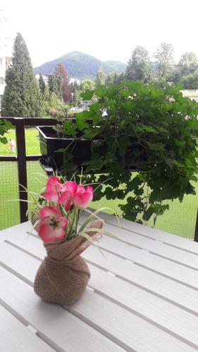 a vase of pink flowers sitting on a table at VIEW APARTMENT in Visoko