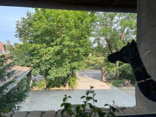 a dog looking out of a window at a driveway at La grange de Sophie in Berstett