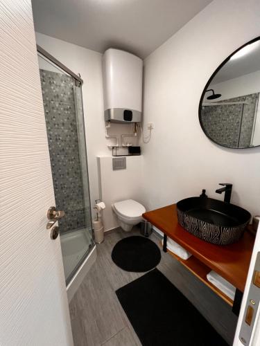 W łazience znajduje się umywalka, toaleta i lustro. w obiekcie Heaven`s cabins w mieście Tău Bistra