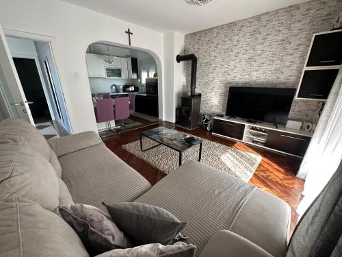 TV a/nebo společenská místnost v ubytování Danijel Apartmans