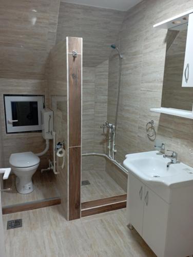 y baño con ducha, aseo y lavamanos. en Apartman JOVANA, en Žabljak