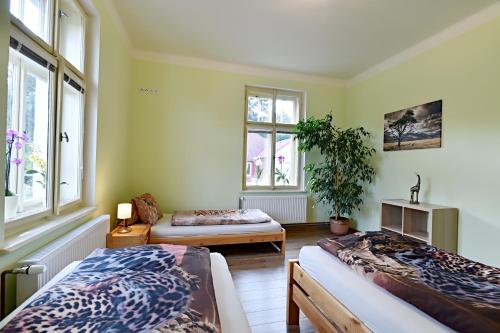 Habitación con 2 camas, sofá y ventanas en Villa vitality, en Osečná
