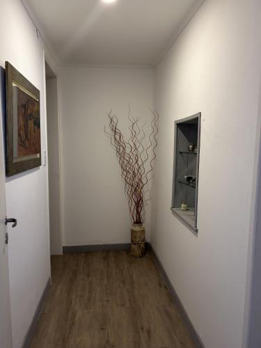 CASI EN CASA – Photos 3