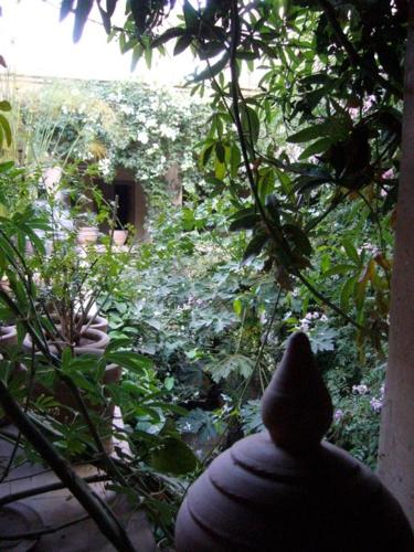 a vase looking out of a window at a garden at Dar Zahia in Taroudant