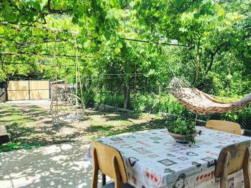 a table and chairs with a hammock in a yard at Family hotel mountain panorama in Borjomi