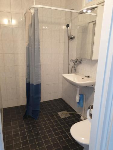 a bathroom with a shower and a sink and a toilet at Studio Helmi in Taalintehdas