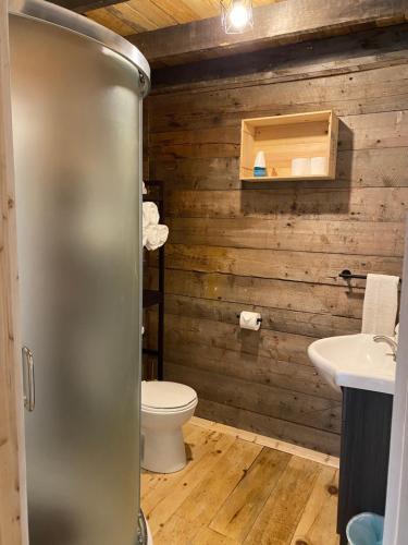 a bathroom with a toilet and a sink at Le Hangar in La Malbaie
