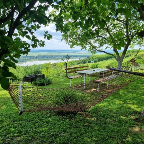 a hammock in a field with a table and benches at Casa Horizont in Slankamenački Vinogradi