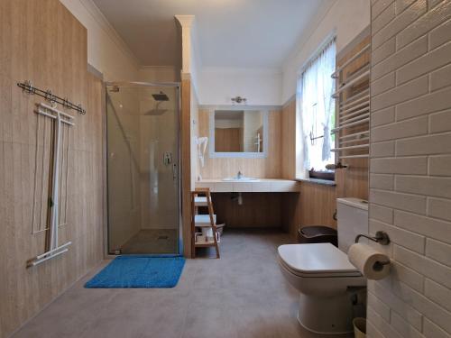 a bathroom with a shower and a toilet and a sink at Karmazyn in Niechorze