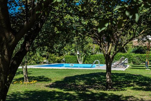 a swimming pool in a park with trees at Terre Etrusche Guest House-Terme -3 minuti da Viterbo centro in Viterbo
