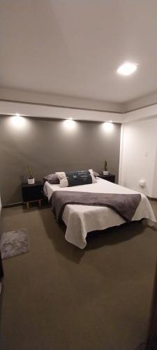 una camera con un grande letto di Moderno y acogedor departamento céntrico a Posadas