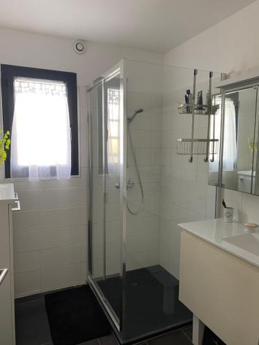 een badkamer met een douche en een wastafel bij Villa avec piscine privée 10mn de la mer 4couchages in Saint-Laurent-de-la-Salanque