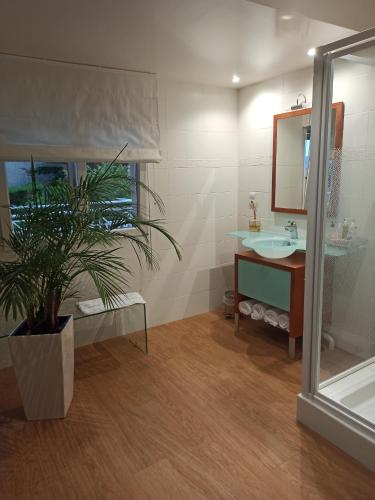 La salle de bains est pourvue d'un lavabo et d'une plante en pot. dans l'établissement villa josepha, à Cournon-dʼAuvergne