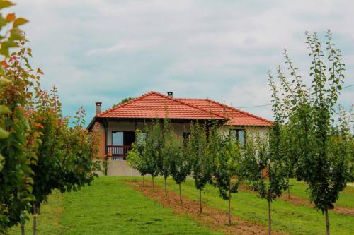 ムラデノバツにあるVilla Sladjanaの並木の前の家