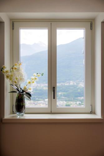 a vase of flowers sitting on a window sill at REVO Apartaments - Gualzi63 the Best View in Sondrio