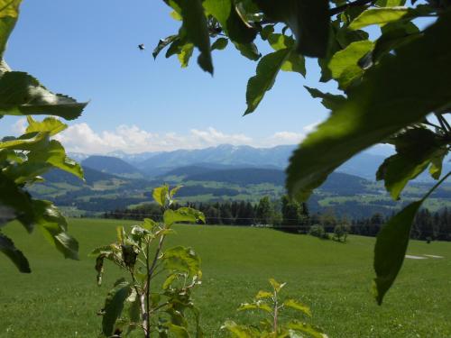 a green field with mountains in the distance at Antoniushof in Sulzberg