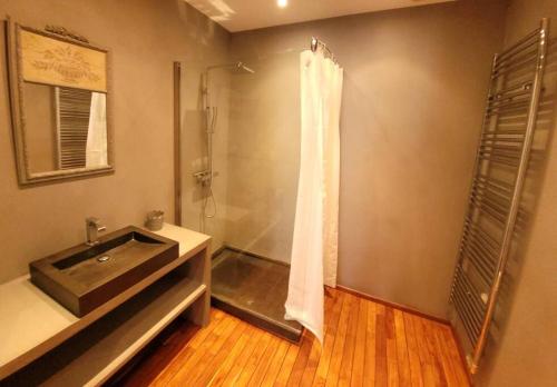 une salle de bain avec douche et lavabo dans l'établissement Le Saint-Christophe - Les Gîtes de la Côte d'Amour, au Croisic