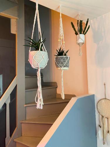 a set of stairs with potted plants on them at Petite maison hyper centre de Dieppe proche plage in Dieppe