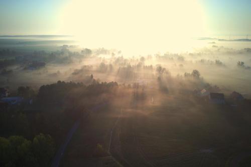 a foggy field with trees and the sun in the background at Dom Mili in Henryków Lubański