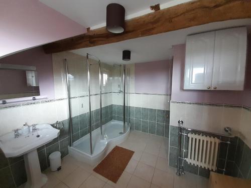 uma casa de banho com um chuveiro, um lavatório e uma banheira em The Dolfor Inn em Newtown
