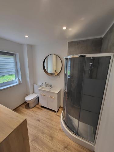 a bathroom with a shower and a toilet and a mirror at Mazurska Osada Domki in Rydzewo