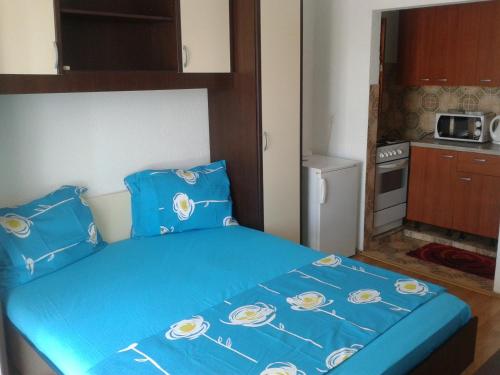 Kuchyň nebo kuchyňský kout v ubytování Apartments Alissa