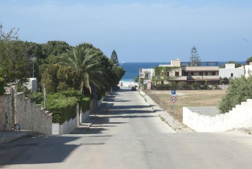un camino vacío con palmeras a un lado en Casa Vacanza Azzurra, en San Vito lo Capo