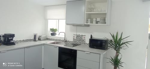 uma cozinha branca com um lavatório e um micro-ondas em Dungarvan Studio em Kilkenny