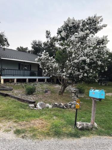 a blue mailbox in front of a house with a tree at Jet Skis, Lake View, Sleeps 8, HotTub, Firepit, Pet Friendly! in Canyon Lake