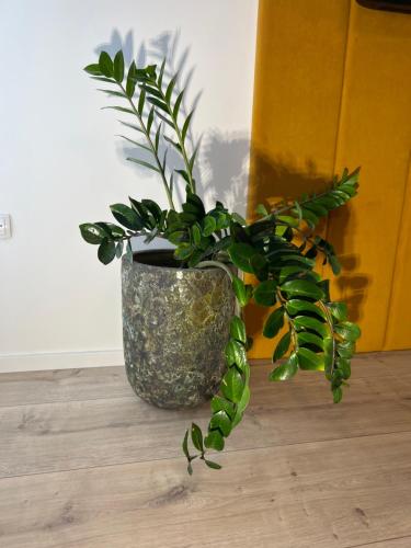 SillwegにあるSofia Apartment & Zimmer Sillweg Nähe Rebull Ringのギャラリーの写真