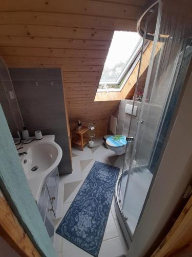 an attic bathroom with a shower and a sink at De´ Borns Ferienwohnung in Rheinsberg