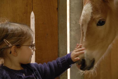 a young girl petting the nose of a horse at Gästehaus Bramböck in Bad Häring