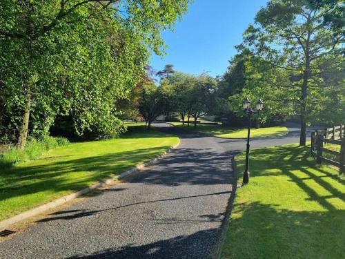 a road in a park with a fence and trees at Gap Retreat in Carrickmore