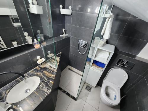 a bathroom with a sink and a toilet and a mirror at Professor's Krunska Studio in Belgrade