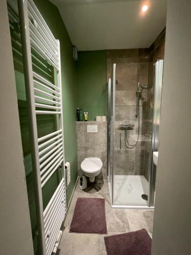 zieloną łazienkę z toaletą i prysznicem. w obiekcie Deichgraf Emden w mieście Emden