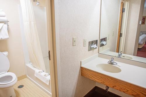 a bathroom with a sink and a toilet and a mirror at Bavarian Inn Lodge in Frankenmuth