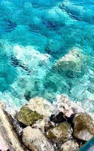 Paesaggio naturale nelle vicinanze della casa vacanze