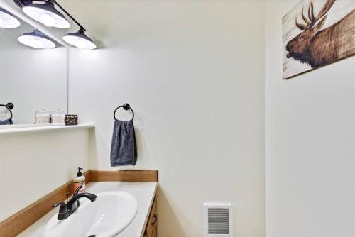 a bathroom with a sink and a mirror at Cascade Cabin Mountain Getaway with Private Beach in Cascade
