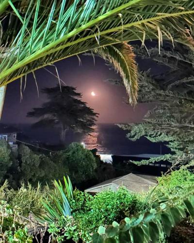 a view of the ocean and a palm tree at night at A Hotel Boutique Pelluhue in Pelluhue