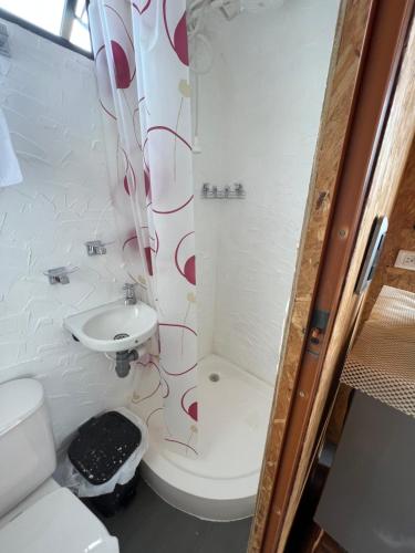 a bathroom with a toilet and a shower and a sink at Glamping Cielo Roto in Sutamarchán