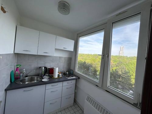 a kitchen with a sink and two large windows at Möblierte Apartment im Herkules Köln Neuehrenfeld in Cologne