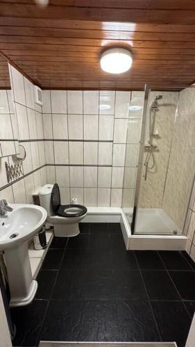 a bathroom with a toilet and a shower and a sink at Palaz 7 - 5 bedroom house in Edmonton