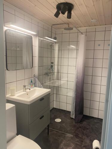 a bathroom with a sink and a toilet and a mirror at Mysig källarlägenhet i Lindvallen in Sälen